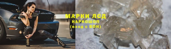 прущие крисы Абинск