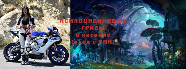 прущие крисы Абинск