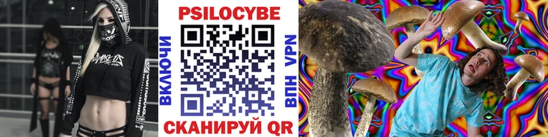 площадка наркотические препараты  Руза  Псилоцибиновые грибы прущие грибы 
