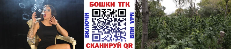 hydra рабочий сайт  Руза  Каннабис индика 